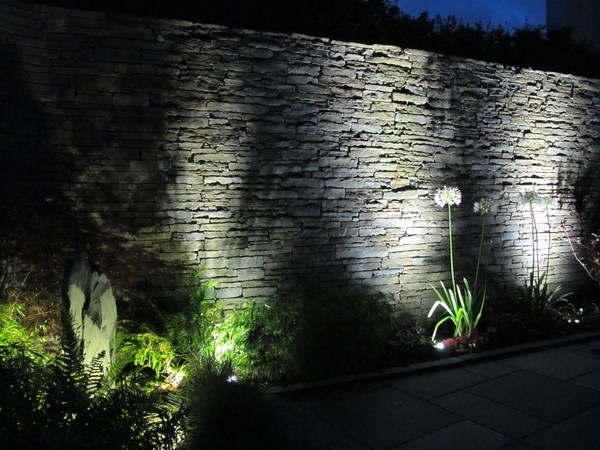 Garden lighting ideas decorative lighting spot uplighting garden lighting