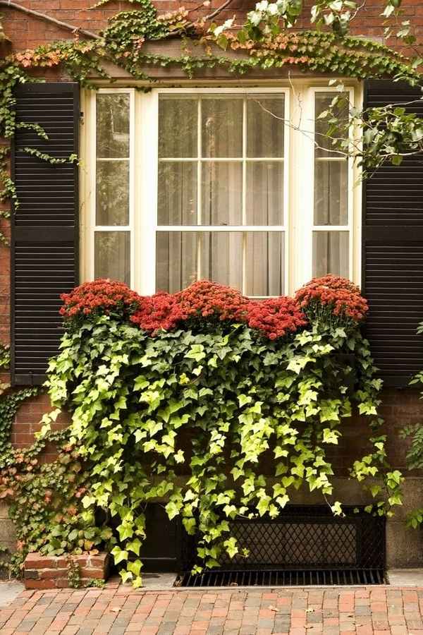 awesome flower box ideas DIY summer decoration window decor