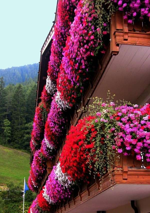 beautiful flower boxes on the balcony summer decoration