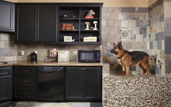 dog washing station ideas shower wall tiles black cabinets