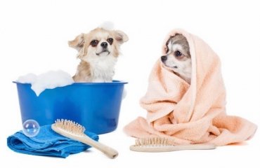 dog-washing-station-ideas-laundry-room-mudroom-remodel