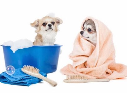 dog-washing-station-ideas-laundry-room-mudroom-remodel