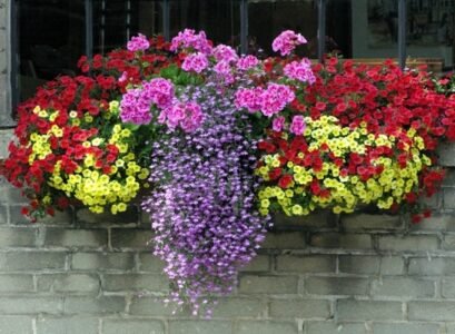 flower-box-ideas-window-decorating-ideas-DIY-summer-decoration-blooming-plants