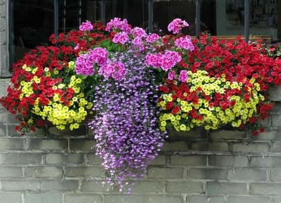 flower-box-ideas-window-decorating-ideas-DIY-summer-decoration-blooming-plants