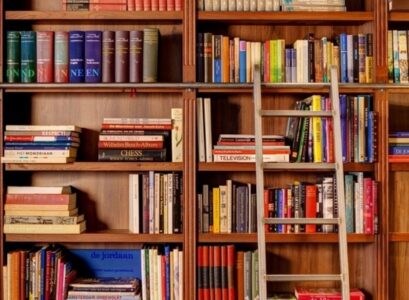 library-furniture-ideas-home-library-design-wall-bookshelves-ladder