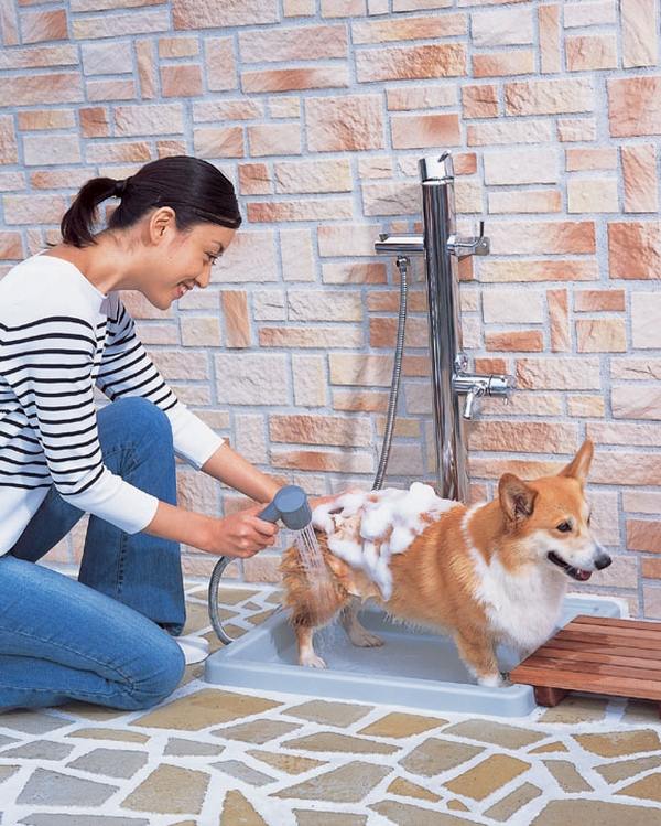 outdoor dog washing station shower ideas garden shower