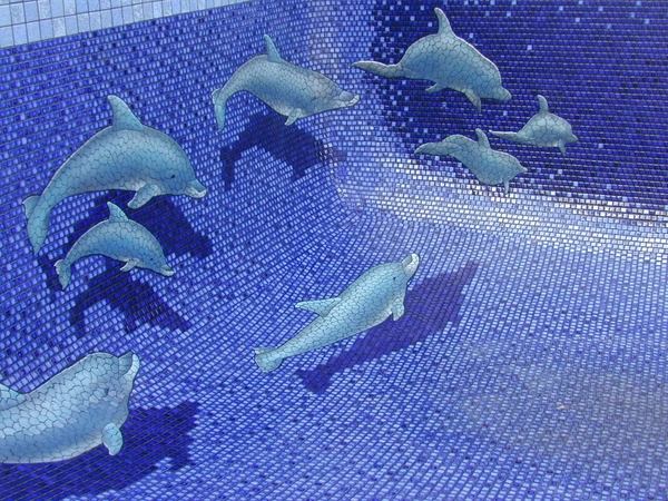 ideas mosaic tile 3d decoration dolphins