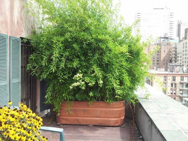rooftop balcony privacy screen ideas 