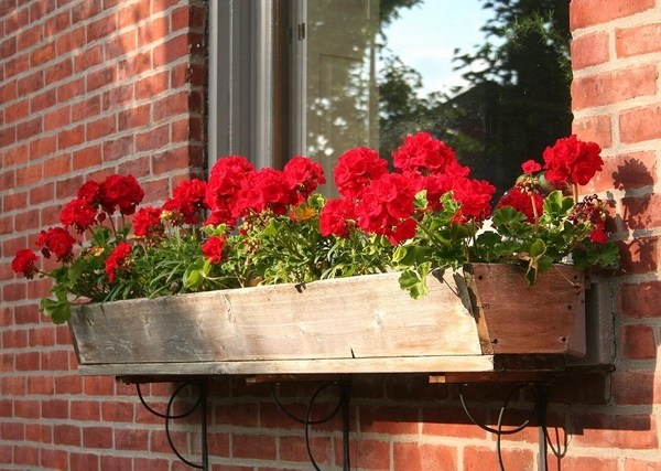 wooden flower box geraniums window decorating ideas summer decor ideas
