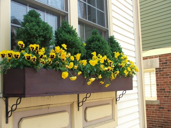 wooden flower box ideas DIY summer decor window