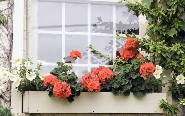 wooden flower box ideas DIY summer decoration window decor
