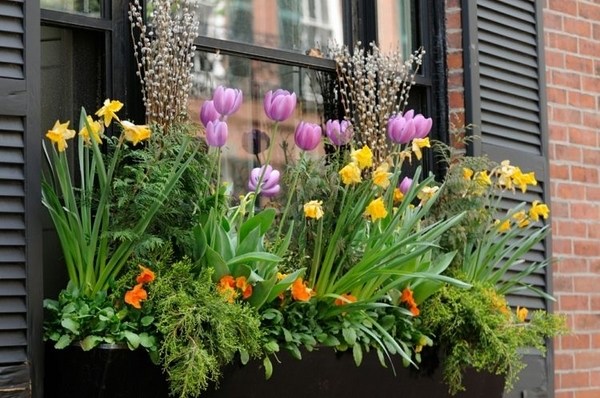 Flower box arrangements – summer window and balcony decor ideas