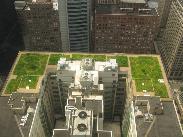 urban landscape roof garden