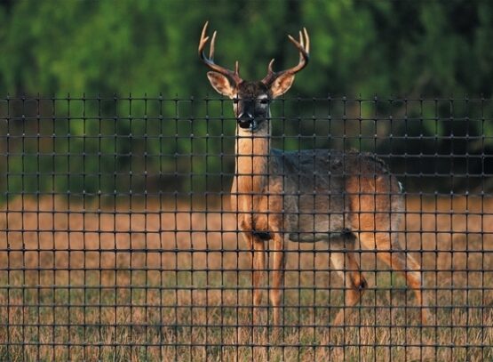 deer-fence-deer-fencing-ideas-deer-fences-garden-fence-ideas