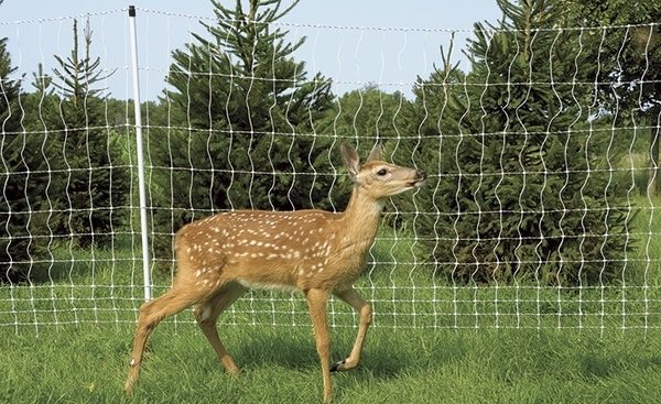 ideas wildlife net fencing 