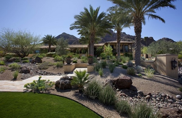 desert landscaping ideas drought tolerant garden design palm trees 