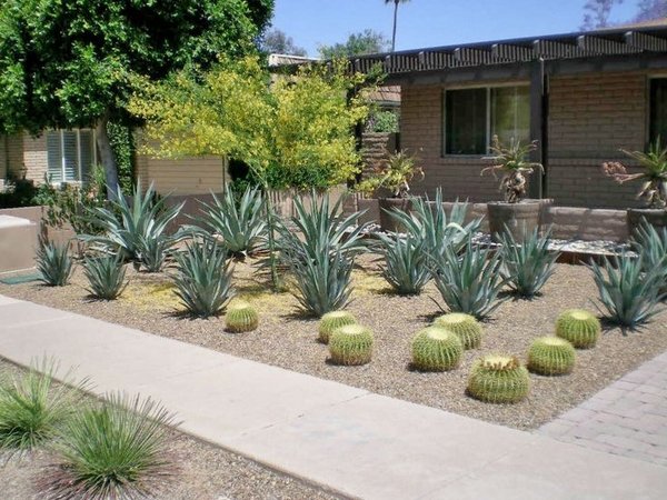 Featured image of post Front Yard Desert Landscaping Ideas On A Budget - Having a raised garden bed automatically makes people look up from the.