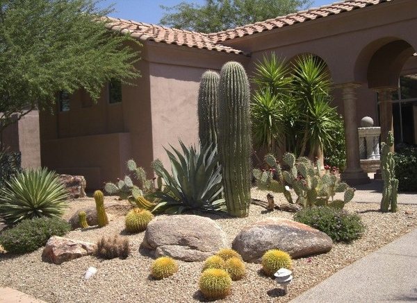 desert landscaping ideas front yard landscape cacti garden rocks