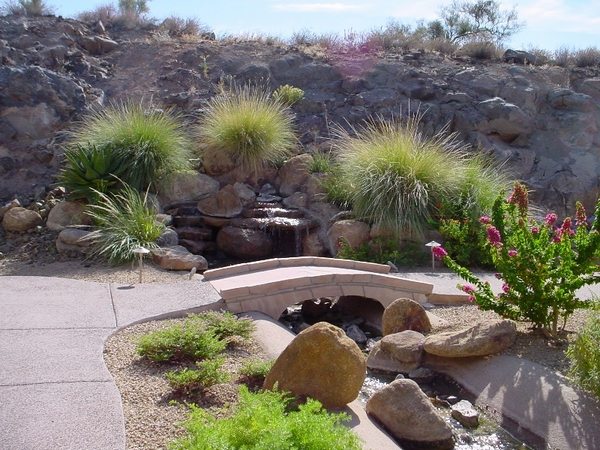 Desert landscaping ideas – basic rules to design a great backyard