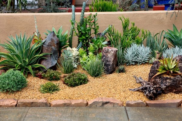 Desert Landscaping Ideas Basic Rules To Design A Great Backyard - Front Yard Desert Landscape Design Ideas