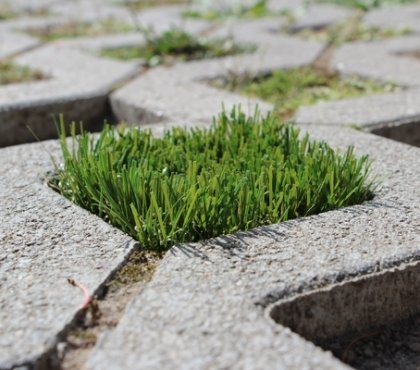 grass-pavers-prs-cons-driveway-pavers-ideas-landscaping-ideas