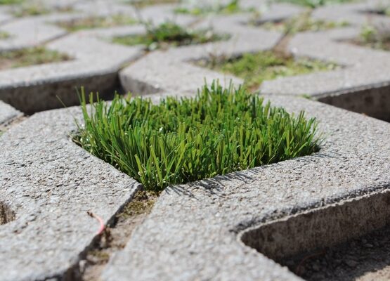 grass-pavers-prs-cons-driveway-pavers-ideas-landscaping-ideas