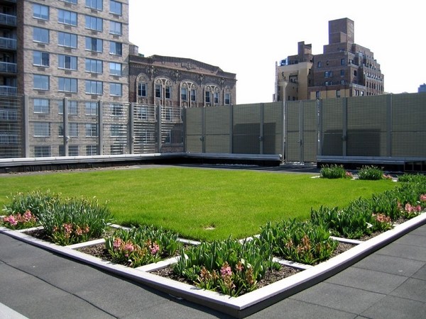 green roof design ideas lawn flower bed roof deck wind screen