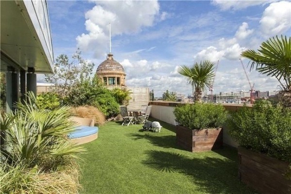 roof garden exotic plants palms wood planters