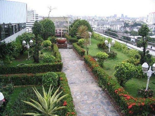 rooftop gardens design lawn hedge trees
