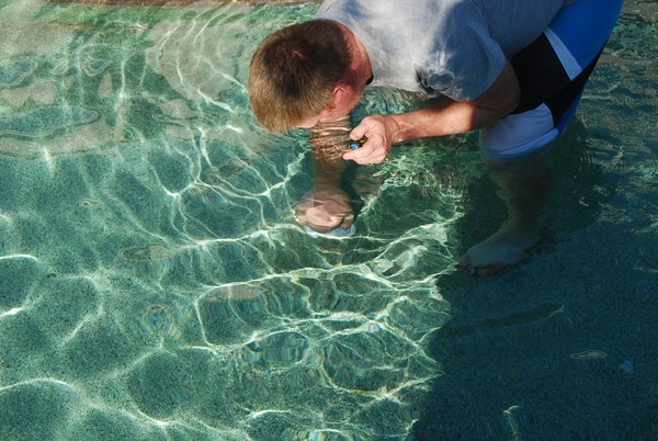 detection DIY repair fixing pool leaks