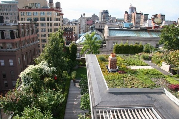 roof garden ideas design roof garden plants