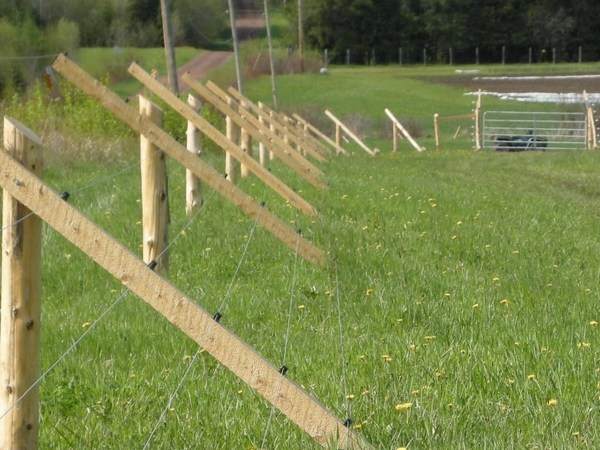 slanted deer fence posts height