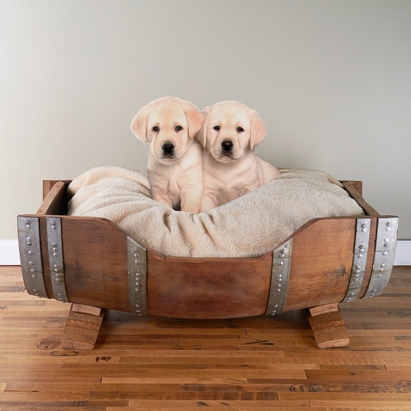 dog bed upcycling ideas