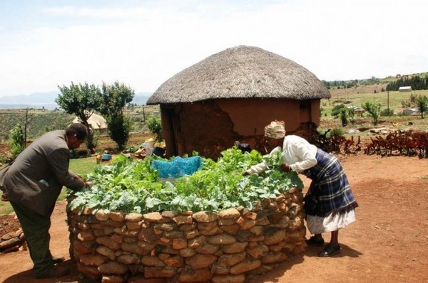 African keyhole gardens vegetable garden ideas raised garden beds