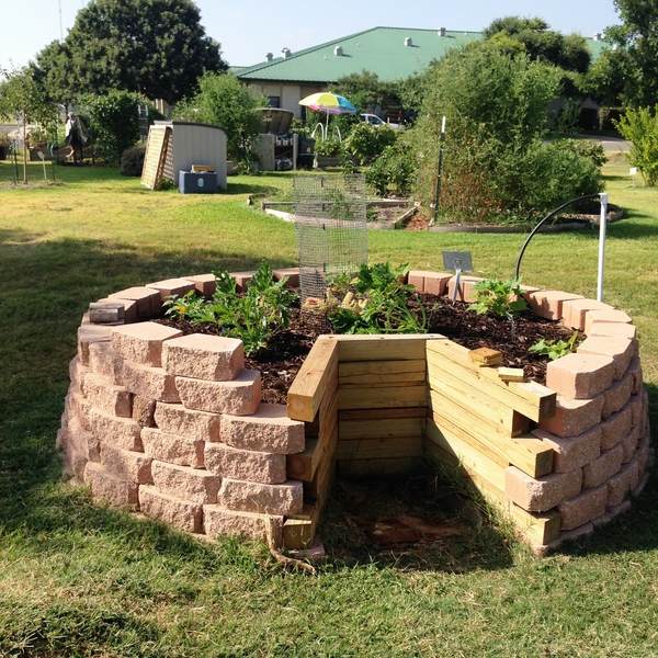 DIY raised beds backyard herb