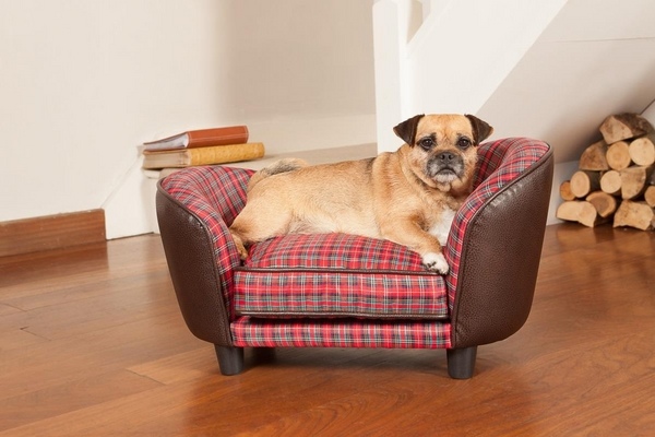 cute bed leather upholstery pet furniture design 