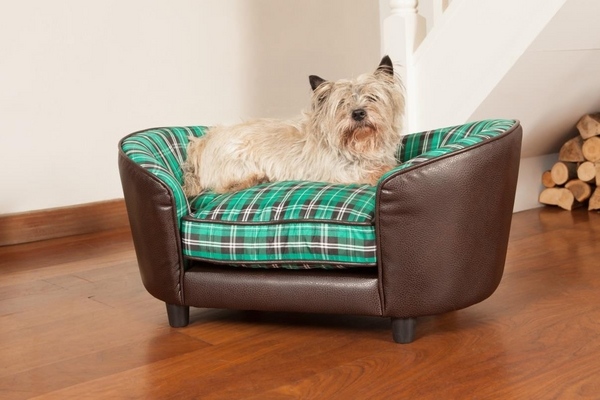 best couches for dogs ideas cute dog bed leather upholstery 