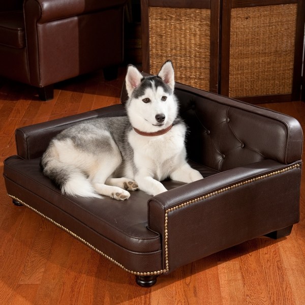 dog furniture ideas luxury leather couch