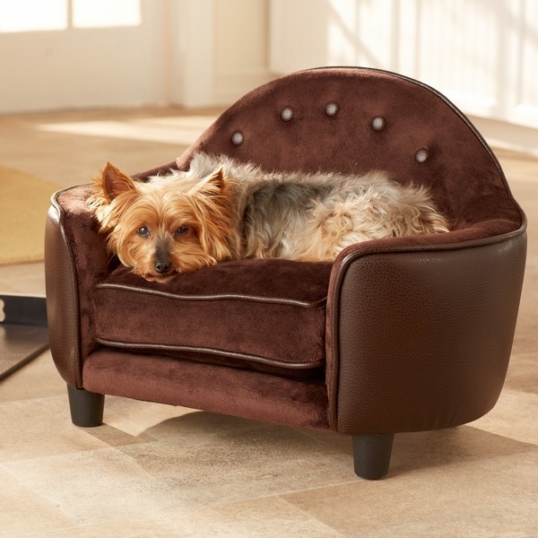 Best couches for dogs and cool dog bed ideas for your pets