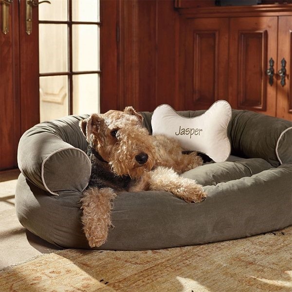 pet furniture ideas dog couch