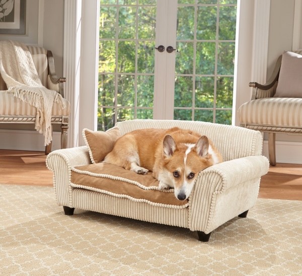 pet furniture stylish dog couch