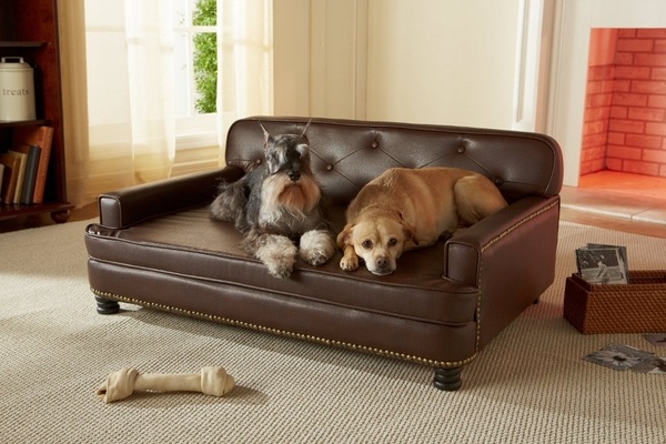 pet furniture ideas leather couch 