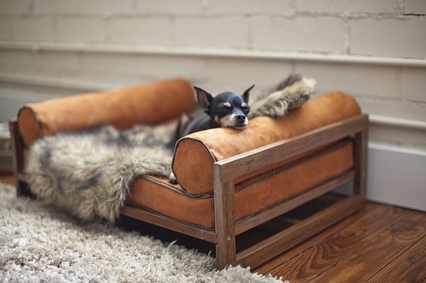 pet furniture ideas modern dog couch