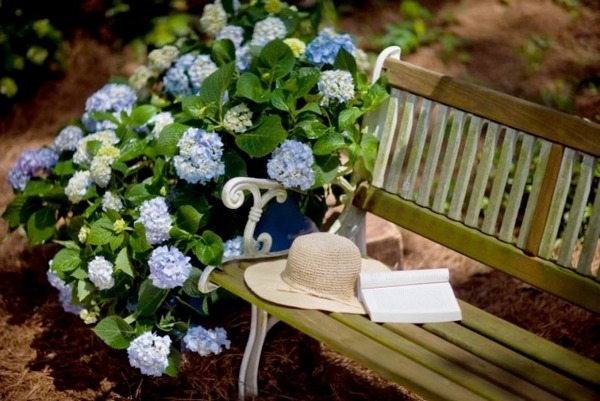 endless summer hydrangea garden bench backyard retreat garden decor