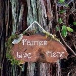 fairy-garden-plans-fairy-garden-ideas-outdoor-mini-gardens