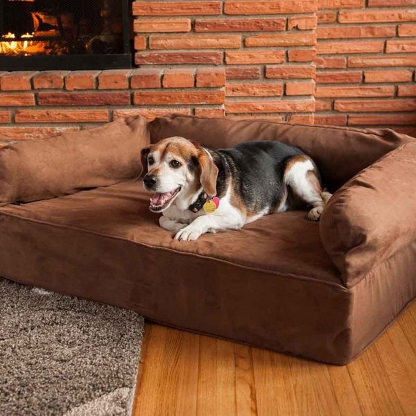 Best couches for dogs and cool dog bed ideas for your pets