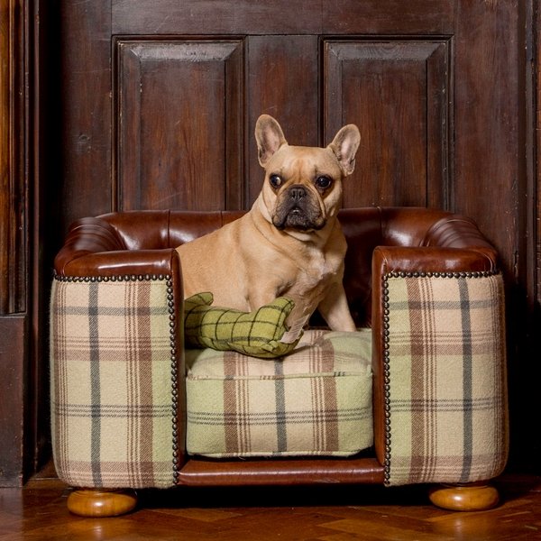 luxury dog sofa leather tweed pet furniture ideas 