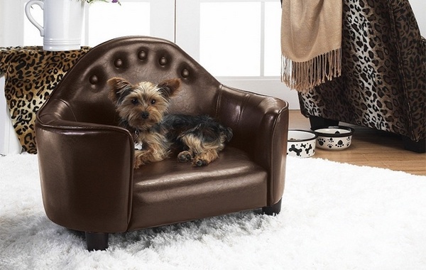 Pet Leather Sofa Free Delivery, Dog Leather Couch