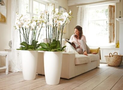 orchid-pots-ideas-large-pots-for-orchids-living-room-decorating-ideas