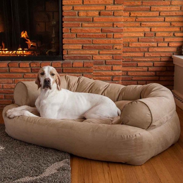 dog couch pet furniture ideas